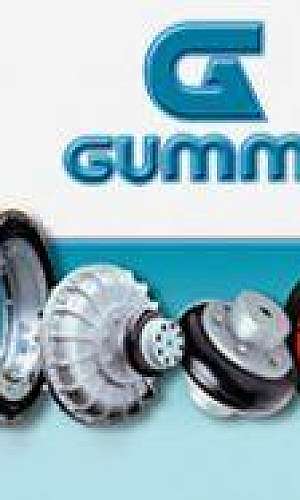 Acoplamentos gummi preço Acoplamentos gummi preço