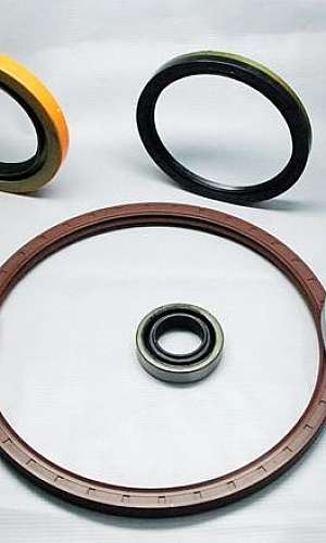 Retentor de rolamento Retentor de rolamento